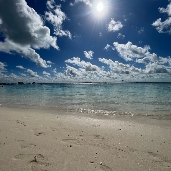 Meet your Posher, Ashley - Picture 5 of 16